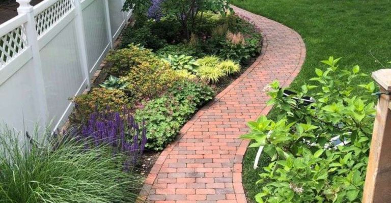 How to Turn Your Pathways Into Pollinator Corridors