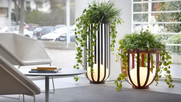 How to Use Plants as Decor (Without It Looking Random)