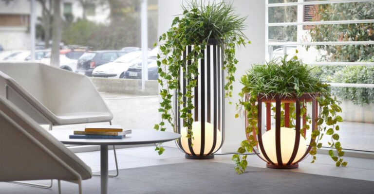 How to Use Plants as Decor (Without It Looking Random)