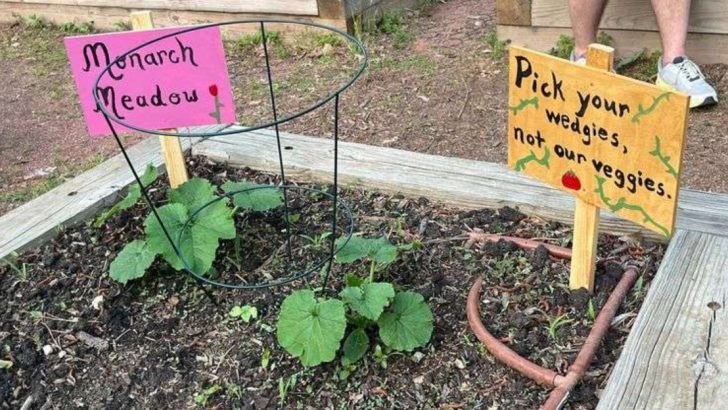 I Let My Garden Grow Over the Sidewalk—Here’s What People Said