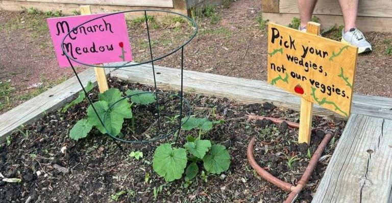 I Let My Garden Grow Over the Sidewalk—Here’s What People Said