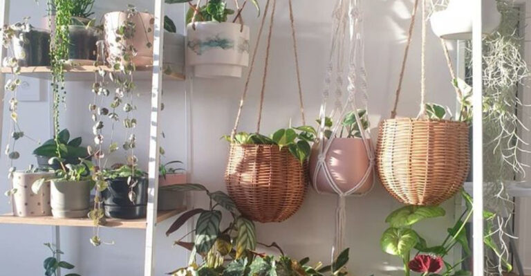 Plant Shelf Styling: 15 Tricks That Work Every Time