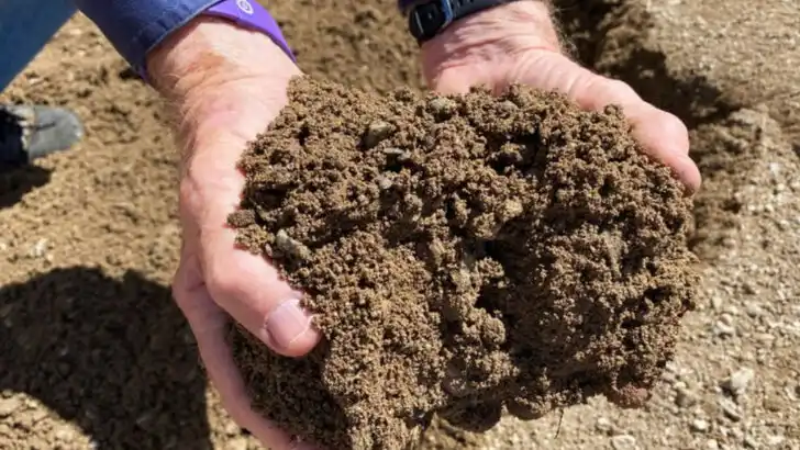 Soft Spots in Your Yard? 10 Common Causes and How to Fix Them