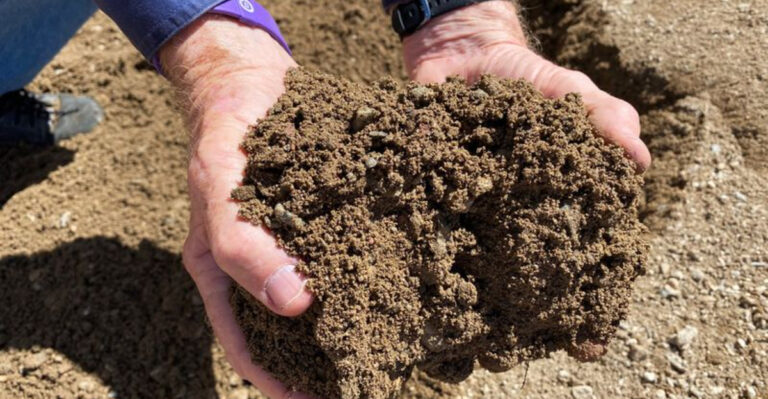 Soft Spots in Your Yard? 10 Common Causes and How to Fix Them