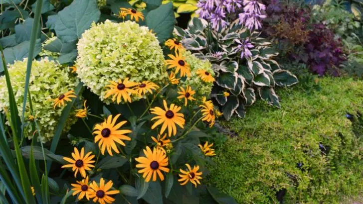 The Art of Underplanting: 9 Techniques for Lush Layers
