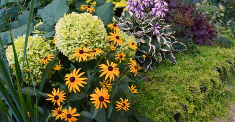 The Art of Underplanting: 9 Techniques for Lush Layers