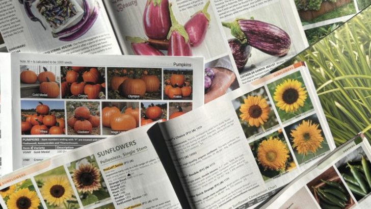 The Busy Gardener’s Calendar: 12 Tiny Tasks That Add Up Fast