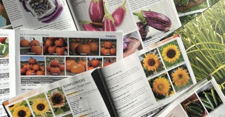 The Busy Gardener’s Calendar: 12 Tiny Tasks That Add Up Fast