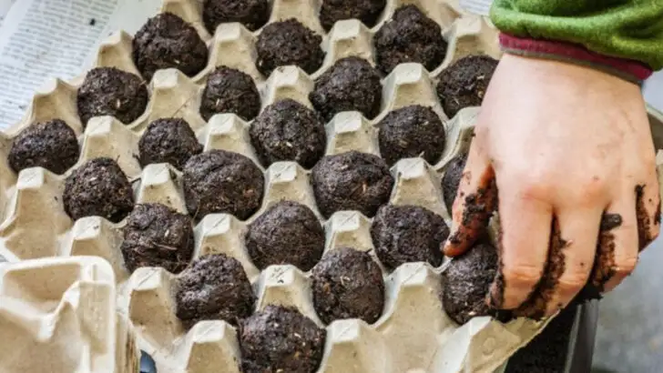 10 Cheap Things You Can Do With a Bag of Soil and 5 That Are Just Dumb