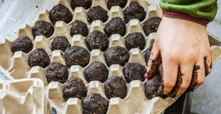 10 Cheap Things You Can Do With a Bag of Soil and 5 That Are Just Dumb