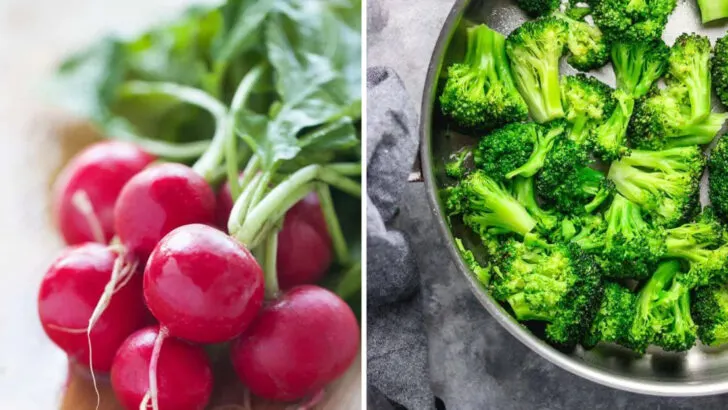 11 Vegetables That Prefer Cooler Weather (And 8 That Only Thrive in Heat)