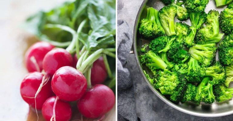 11 Vegetables That Prefer Cooler Weather (And 8 That Only Thrive in Heat)