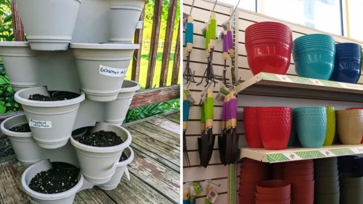 12 Dollar Tree Finds That Help Your Garden Thrive in the Summer Heat