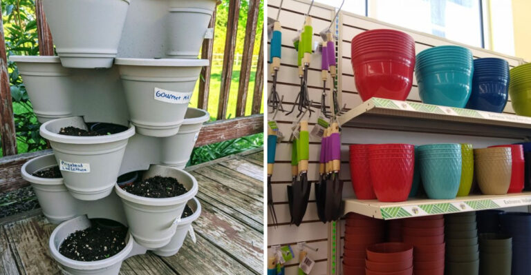 12 Dollar Tree Finds That Help Your Garden Thrive in the Summer Heat