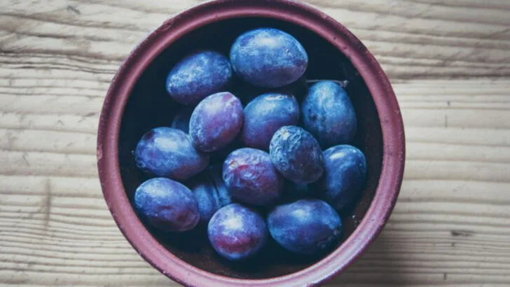 12 Fruits You Can Grow in Containers (And 6 That Need Room to Roam)