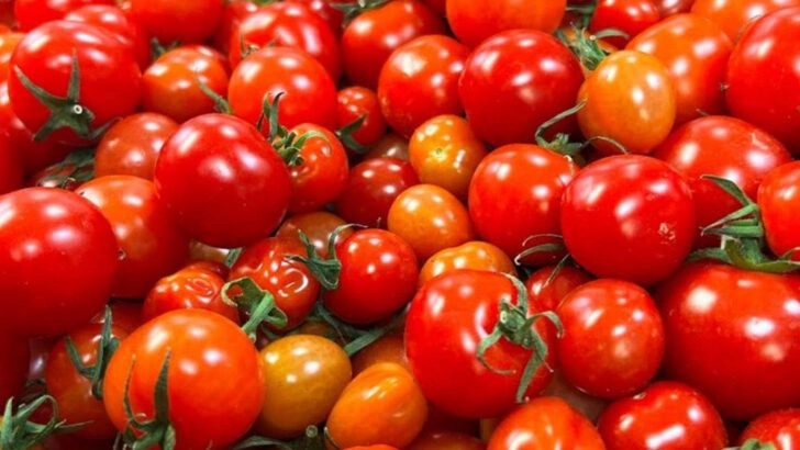 12 High-Yield Vegetables for Small Gardens (And 7 That Need Too Much Space)