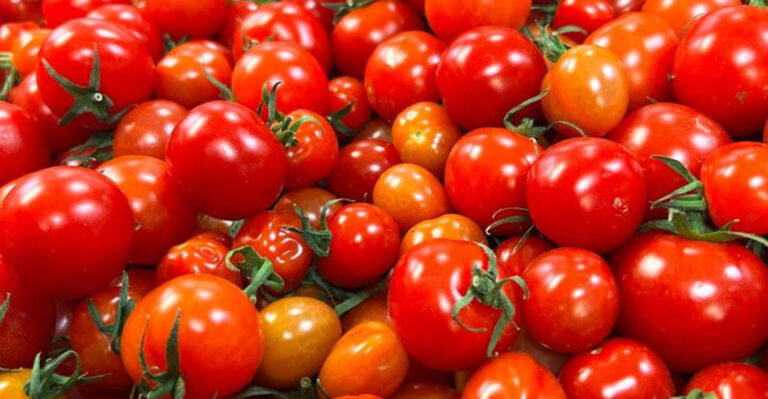 12 High-Yield Vegetables for Small Gardens (And 7 That Need Too Much Space)