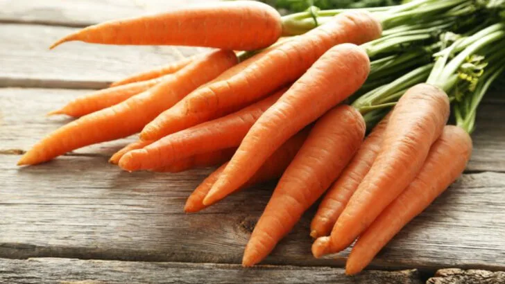 12 Root Vegetables That Thrive in Cool Weather (And 7 That Need Warm Soil)