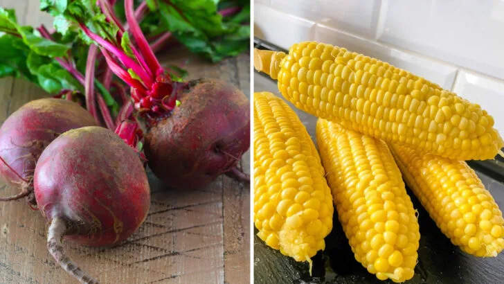 12 Vegetables That Grow Well Together (And 6 Combinations to Avoid)