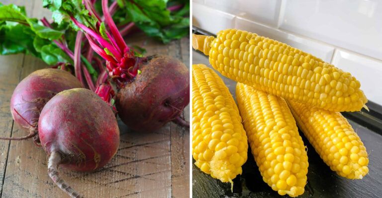 12 Vegetables That Grow Well Together (And 6 Combinations to Avoid)