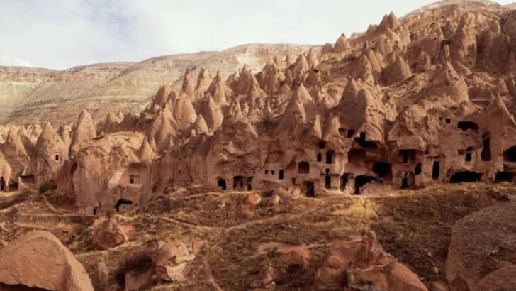 15 Secret Underground Forests That Science Can’t Fully Explain