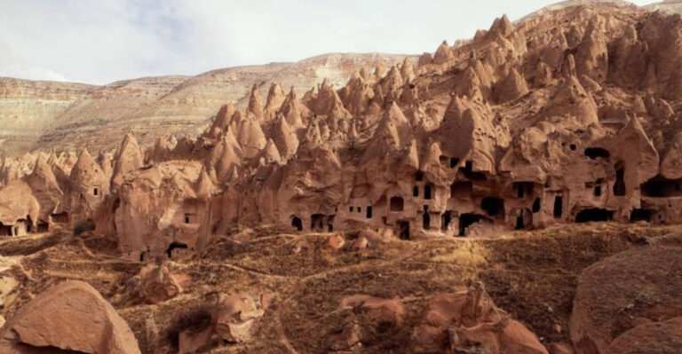 15 Secret Underground Forests That Science Can’t Fully Explain