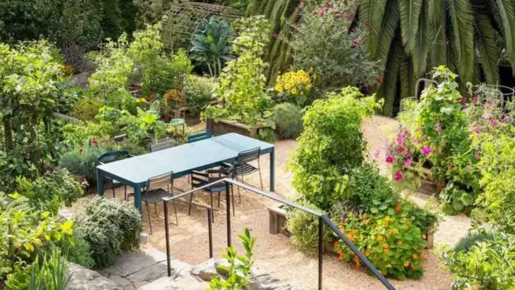 15 Backyard Landscaping Ideas That Don’t Involve Grass