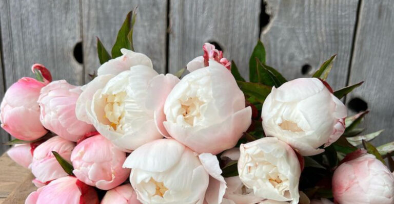 15 Backyard Plants That Make You Feel Like You’re in a Romantic Comedy