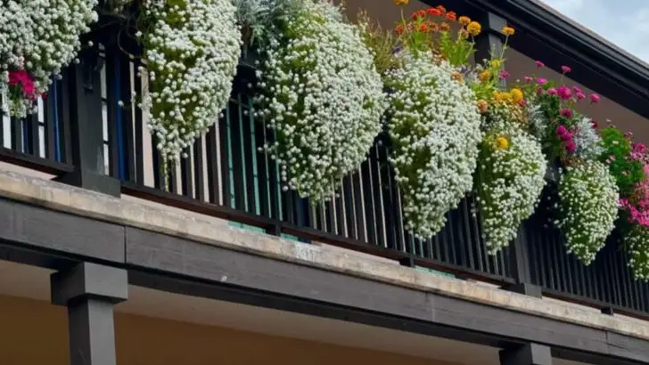 15 Balcony Flowers That Look Like You’re Always Hosting a Garden Party
