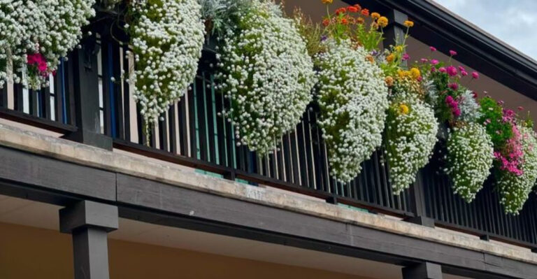 15 Balcony Flowers That Look Like You’re Always Hosting a Garden Party