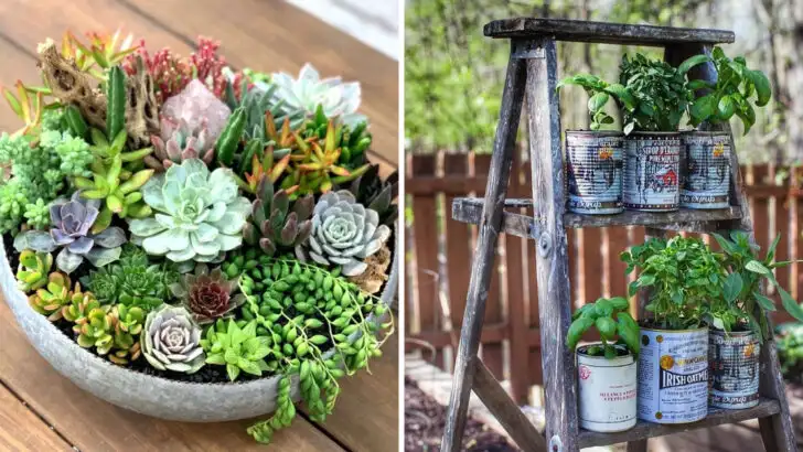 15 Container Gardening Ideas for Beginners