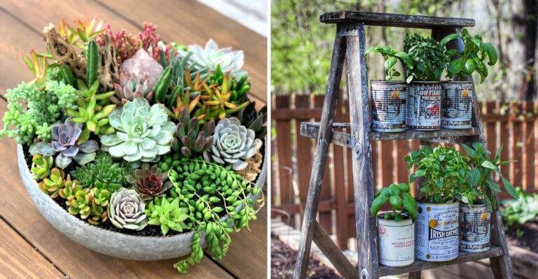 15 Container Gardening Ideas for Beginners