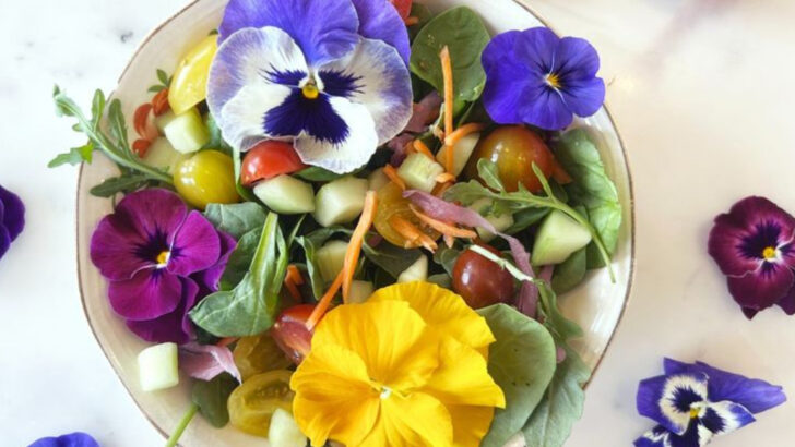 15 Edible Plants So Pretty You’ll Forget They’re Food