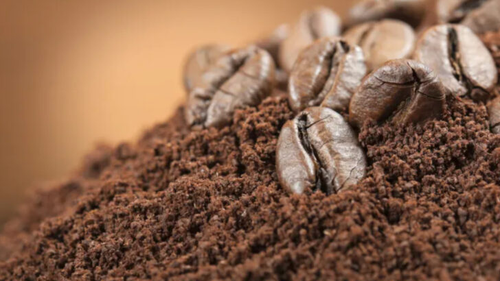 15 Food Scraps You Should Be Composting (And How They Help Your Soil)