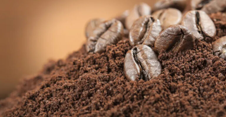 15 Food Scraps You Should Be Composting (And How They Help Your Soil)