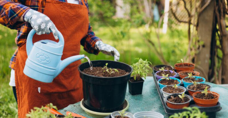 15 Garden Hacks That Actually Work (We Tested Them All)
