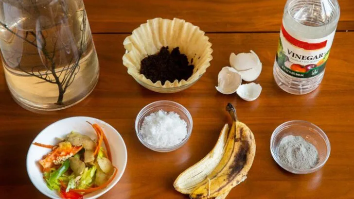 15 Garden Secrets Found in 1800s Almanacs (That Still Work Today)