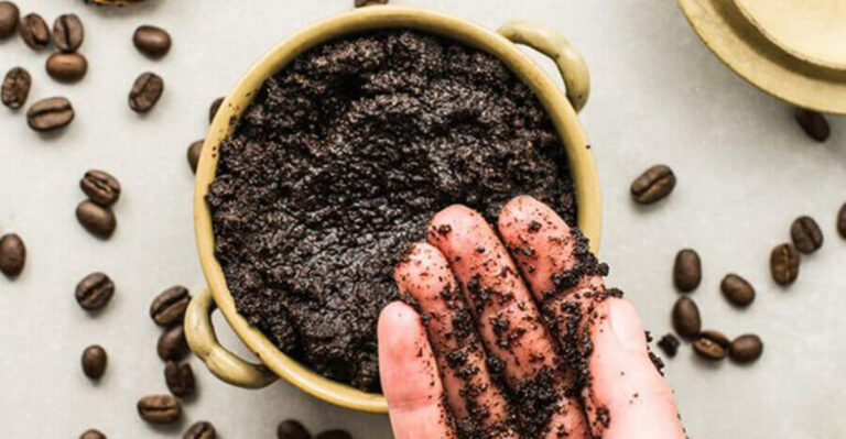15 High-Impact Compost Additions That Feed Your Soil Fast