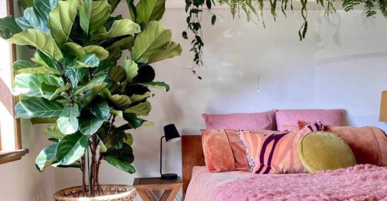 15 Indoor Plants That Turn Your Bedroom Into a Jungle Oasis