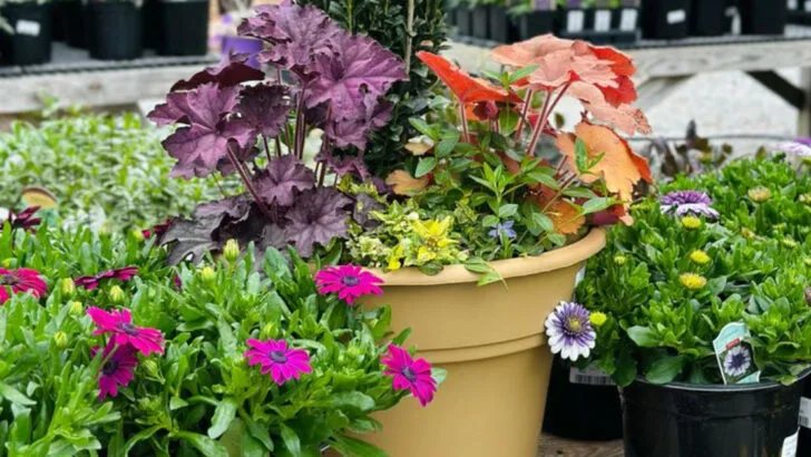 15 Lazy-Girl Gardening Tricks That Actually Work Wonders