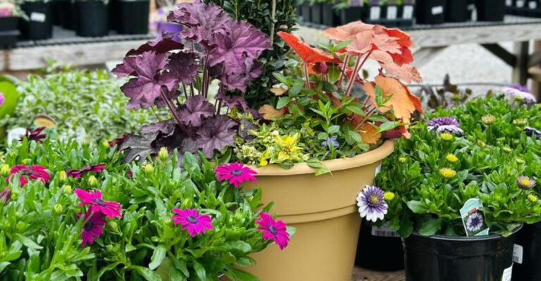 15 Lazy-Girl Gardening Tricks That Actually Work Wonders