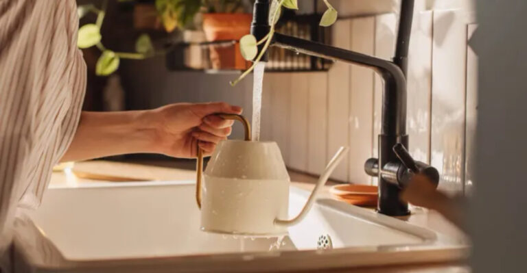15 Mistakes Killing Your Plants Slowly (And You Don’t Even Know It)