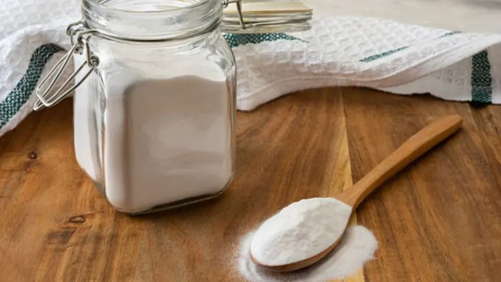 15 Natural Pest Remedies Hiding in Your Kitchen