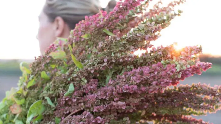 15 Pioneer Vegetables That Survived the Wild and Still Thrive Today