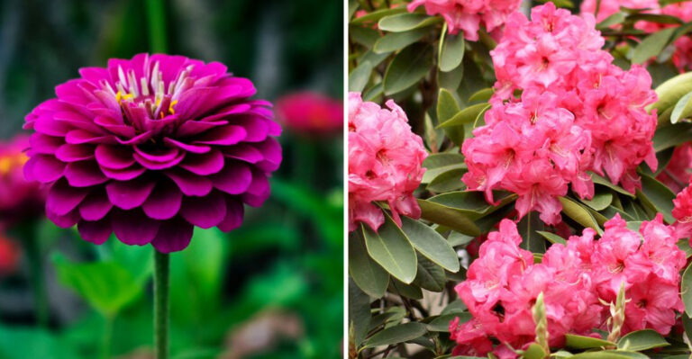 15 Plants That Attract Pollinators (And 8 That Repel Them Instead)