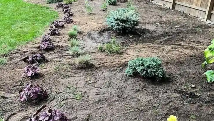 15 Reasons Your Garden Looks Dull (And How to Fix It in a Weekend)