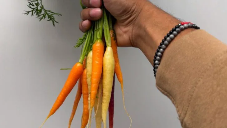 15 Shade-Tolerant Veggies You’re Probably Not Growing (But Should Be)