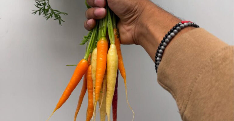 15 Shade-Tolerant Veggies You’re Probably Not Growing (But Should Be)