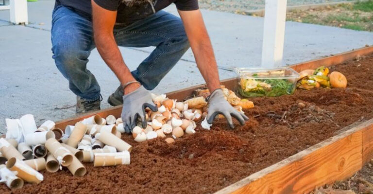 15 Signs Your Garden Isn’t as Organic as You Think (And What to Do About It)