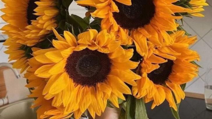 15 Summer Flowers That Look Like They’re Painted by Hand